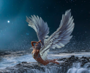 L'envol de l'ange