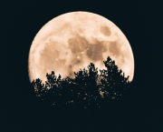 đȘŠ Ronde Nocturne