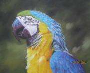Connaissez-vous la famille Pastel ?