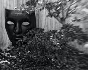 Le masque des émotions