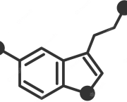 The Chemistry behind our happiness