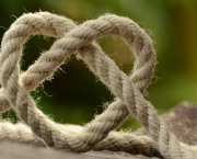 Le coeur esclave