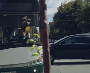 Abstract - Crazy Traffic, Stara Zagora, Bulgaria