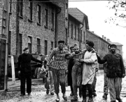 Le Portail d'Auschwitz (chanson)