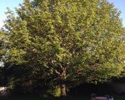 Entrer en poésie...