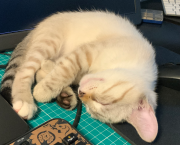 Why I don't accept every network connections