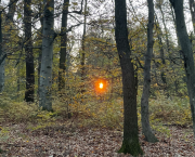 Small Blue Poem About Compassion