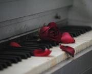 Le silence du piano