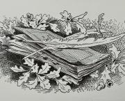 Alexandrine de Césure se trouve des chaussures...