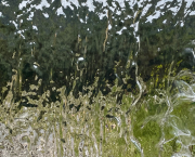 le Temps qui court vers le chaud pain