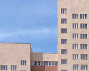 Abstract - Growing Buildings