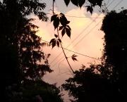 L'appel de l'extérieur