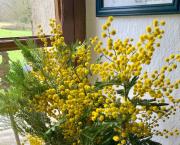 Votre bouquet de ce dimanche
