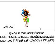 Samba à barbe