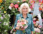 HOLD ON TO YOUR CROWN...