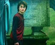 Quand l'univers d'Harry Potter s'invite à Nantes