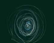 Le tout et le néant