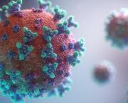 VIRUS