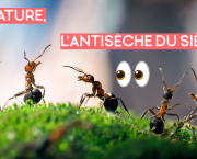 La Nature, l'Antisèche du siècle !