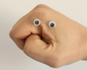 L'Afin des Dinosaures