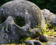 Les abysses du mal
