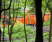 Haiku du printemps