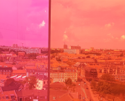 Literature and Money