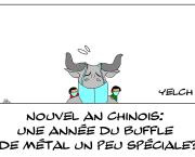 Année du buffle de métal