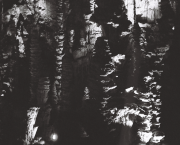 Quand vient la nuit