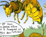 Partie 2 : La remise en question - Chap. 5 : Les espèces invasives