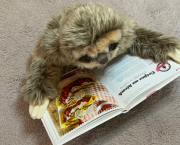 Questions Existentielles