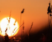 #1. L'univers de « L'Emballement ».