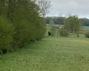 Large sorcière ou vieux vagabond
