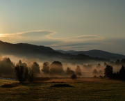 MATINÉES DE L’ÊTRE