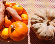 Sagesses vivantes de la vieille mère Salothe