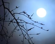Lune de mars
