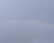 Les Ailes du Silence