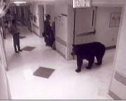 Ideal Distance (poem)