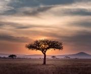 Paysages d'Afrique du Sud