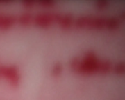 En guise d’avant-propos