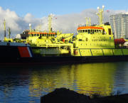 Dans la tête du tueur !