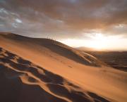 SeulIssue où la peur est choyée ma vie firte avec une mort sans encombre Dans les entrailles d'un bleu aussi profond que l'océanLa barque ne fut pas assez solide pour