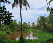 Retraite Ayurvédique à Maïthri Mandir