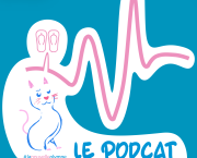 Un jeudi du mois d'août (S1_E1)