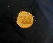Cœur d'Or