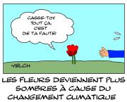 Les fleurs deviennent plus sombres à cause du réchauffement climatique