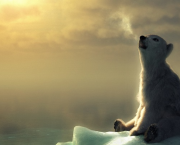 Partie 2 : Solitude