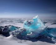 A la conquête d'une terre sauvage...