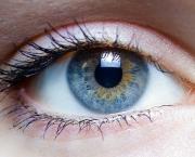 L'ŒIL, le CONTOUR des YEUX