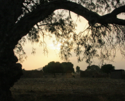 Carnet de voyage au Burkina Faso. La lumière de Tiébélé.
